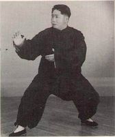 Traditional Tai Chi Training