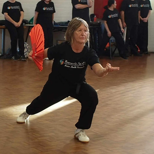 Tai Chi Fan Workshop Saturday 20th September