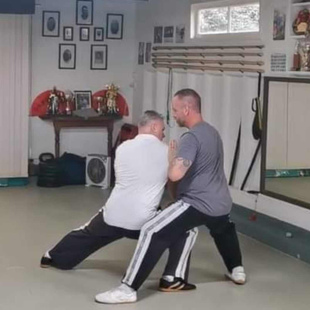 Tai Chi private lessons, your personalized wellness journey. Face-to-face or Online