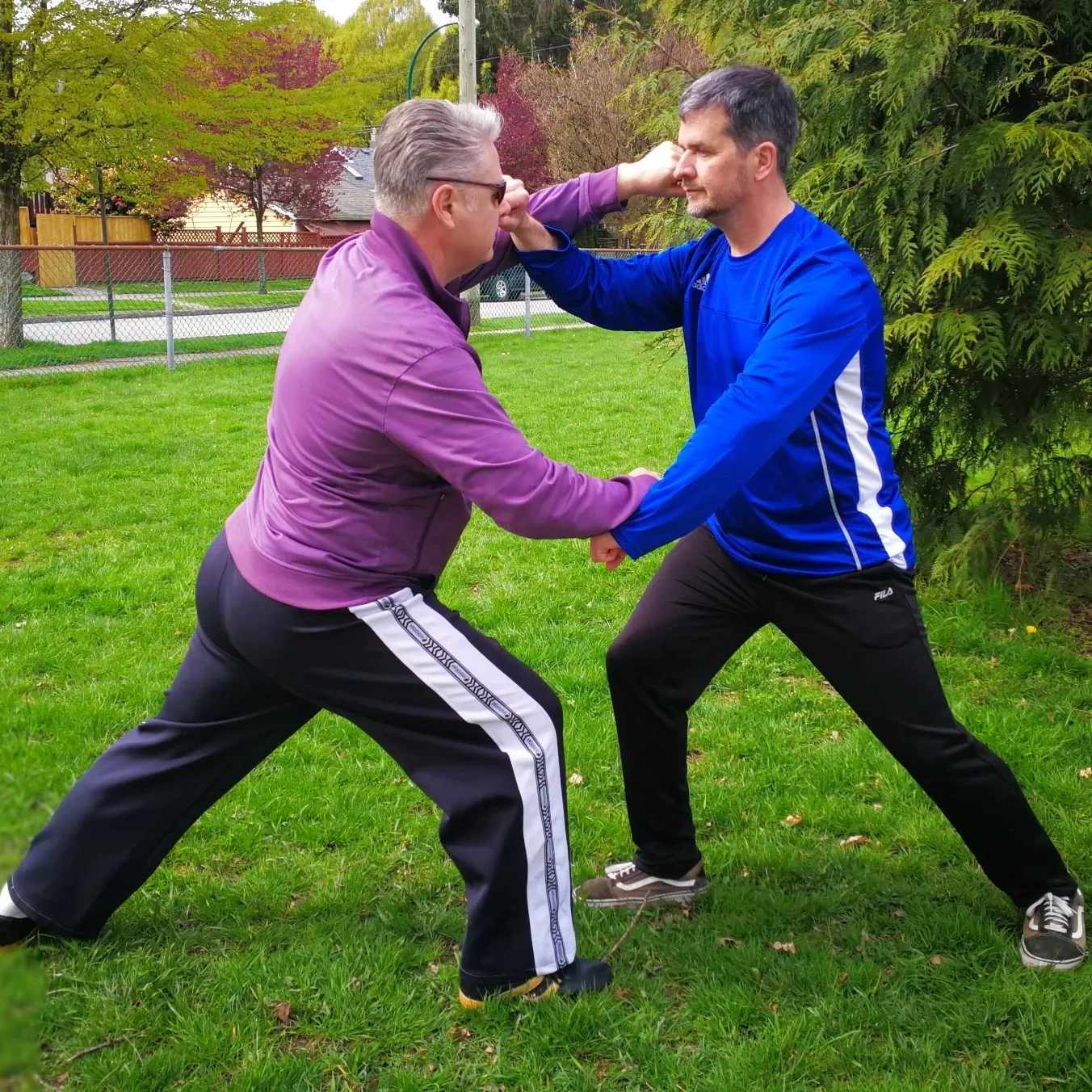 Tai Chi private lessons, your personalized wellness journey. Face-to-face or Online