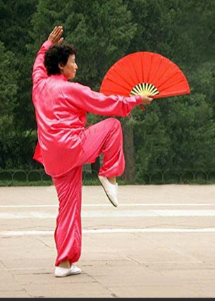 Tai Chi Fan Workshop Saturday 20th September