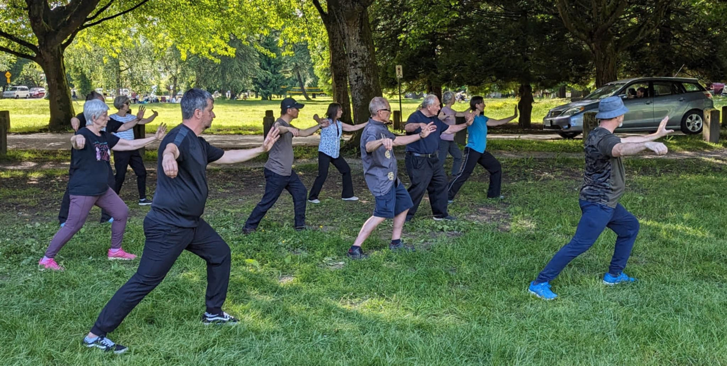 Become a Tai Chi & Qi Gong Instructor level 1     # Flexible delivery from February 2026)